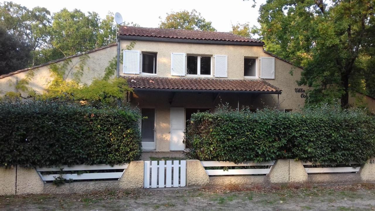 Appartement Soulac Sur Mer A 500 M De La Plage N 5 Exterior photo
